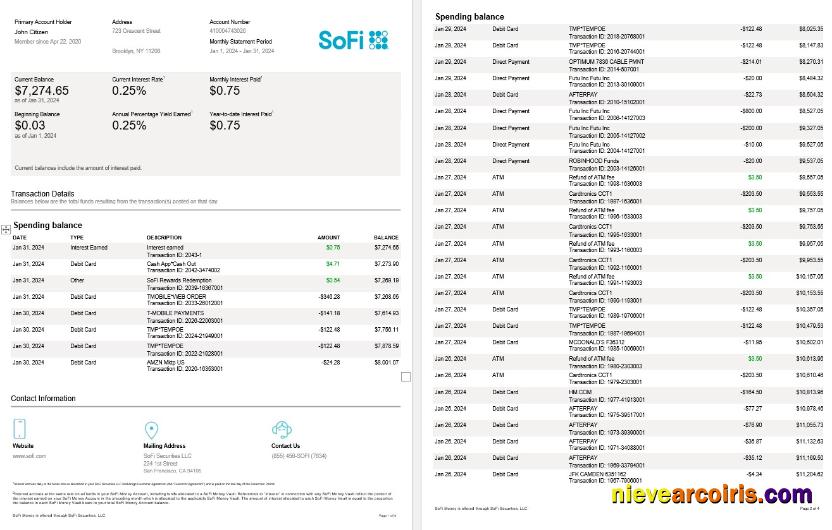 USA Sofi bank statement, 4 pages